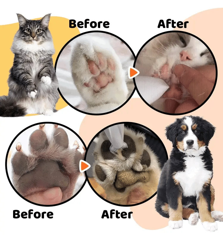 PatiliHarikalar Clipper-Kedi/köpekler İçin Profesyonel Tıraş Makinesi