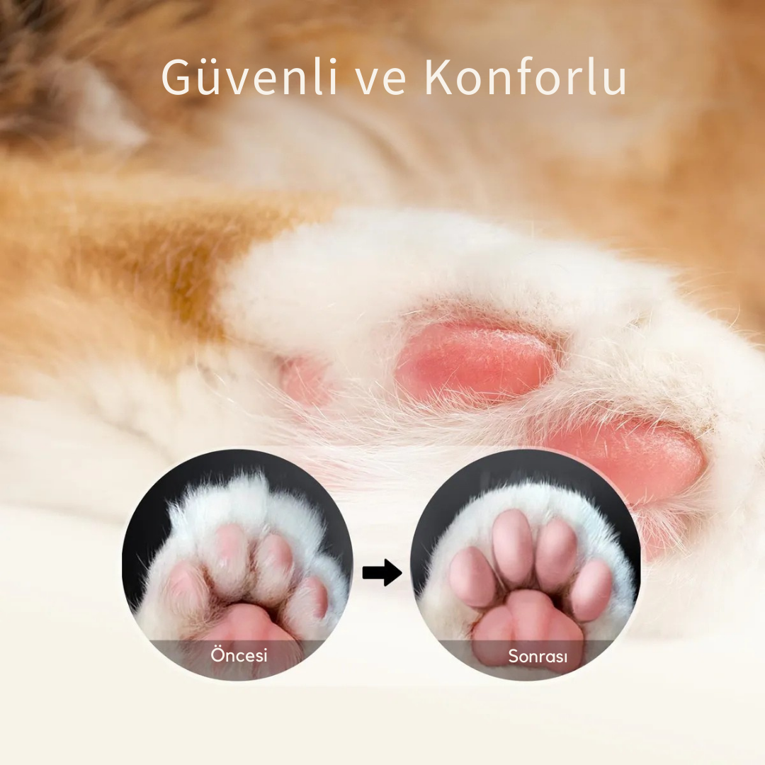 PatiliHarikalar Clipper-Kedi/köpekler İçin Profesyonel Tıraş Makinesi