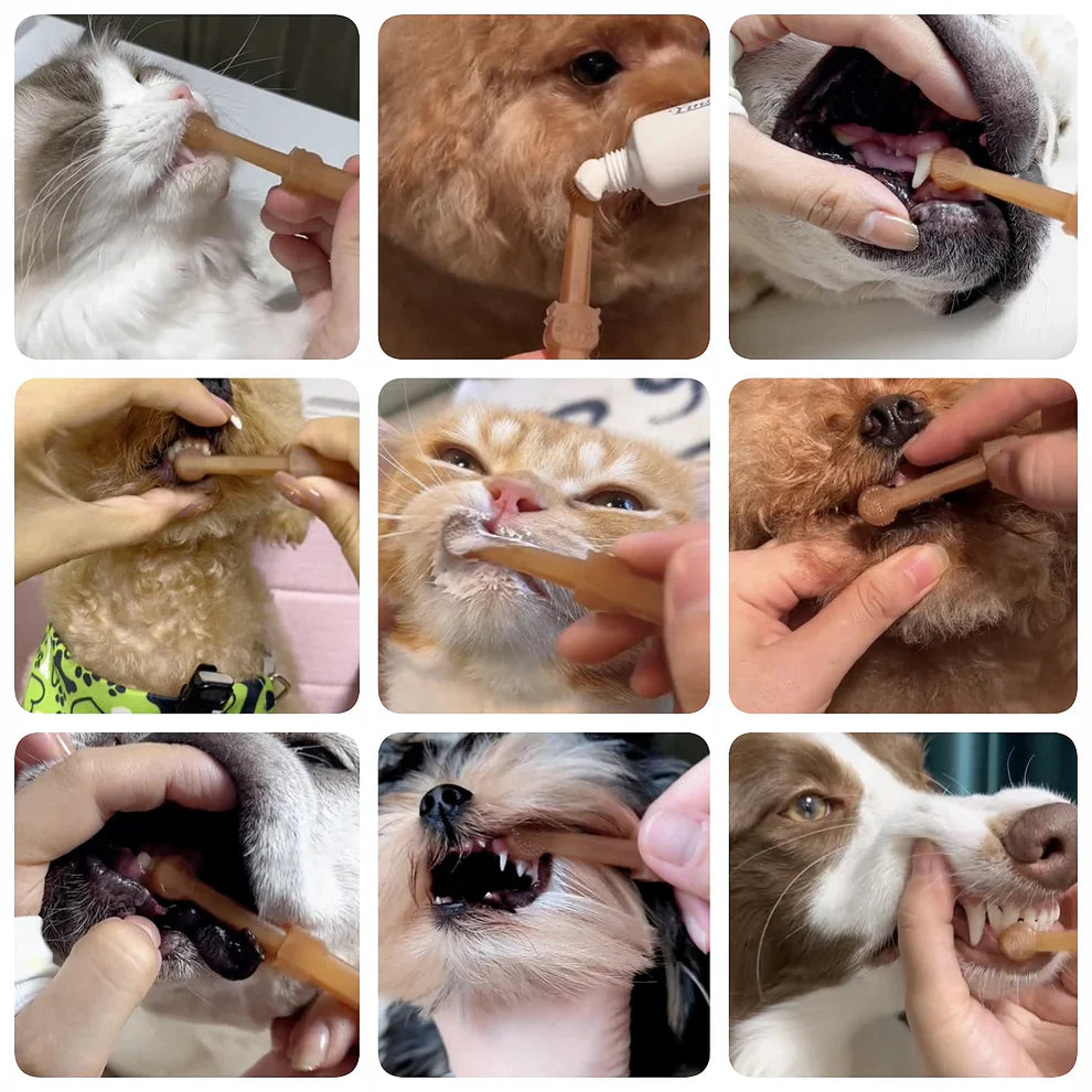 PatiliHarikalar Kedi/Köpek Silikon Diş Fırçası