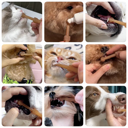 PatiliHarikalar Kedi/Köpek Silikon Diş Fırçası