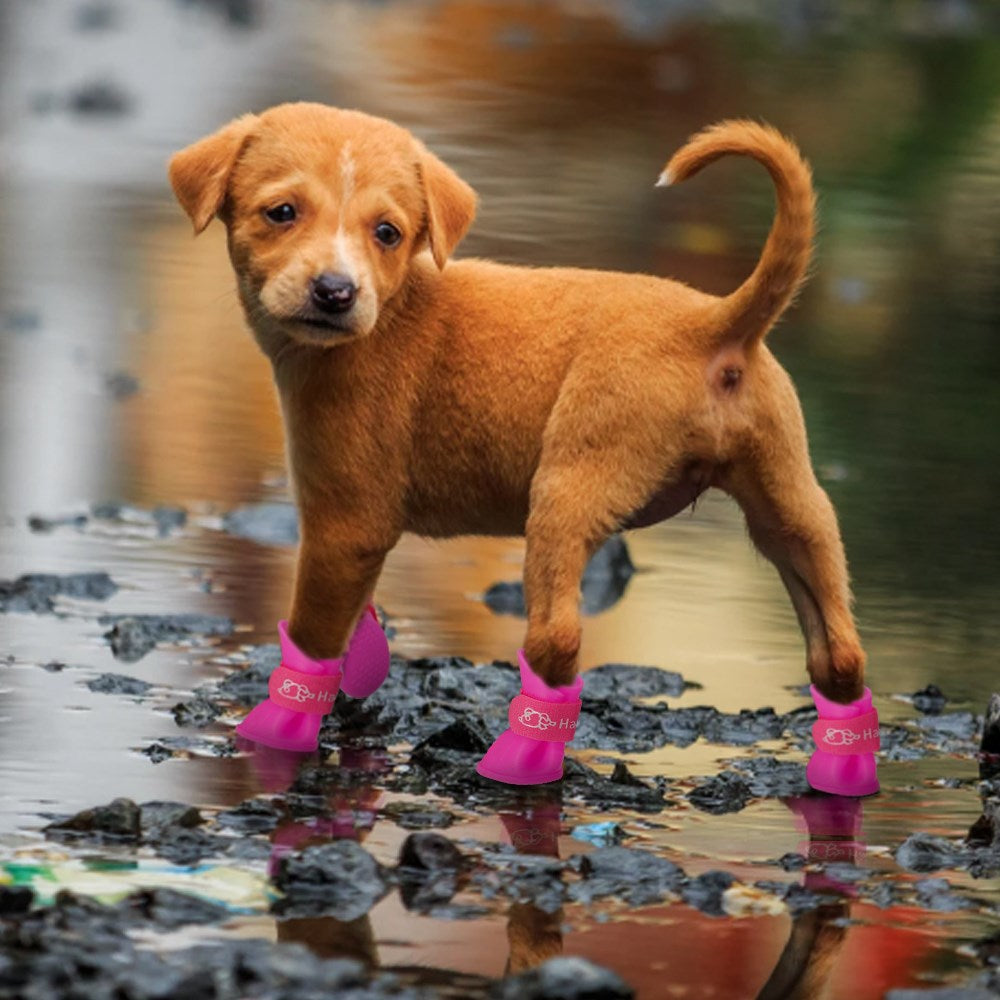 PatiliHarikalar Silikon Kedi Köpek Ayakkabısı