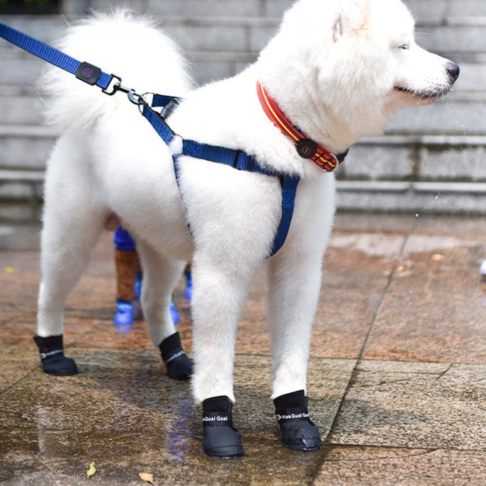 PatiliHarikalar Silikon Kedi Köpek Ayakkabısı