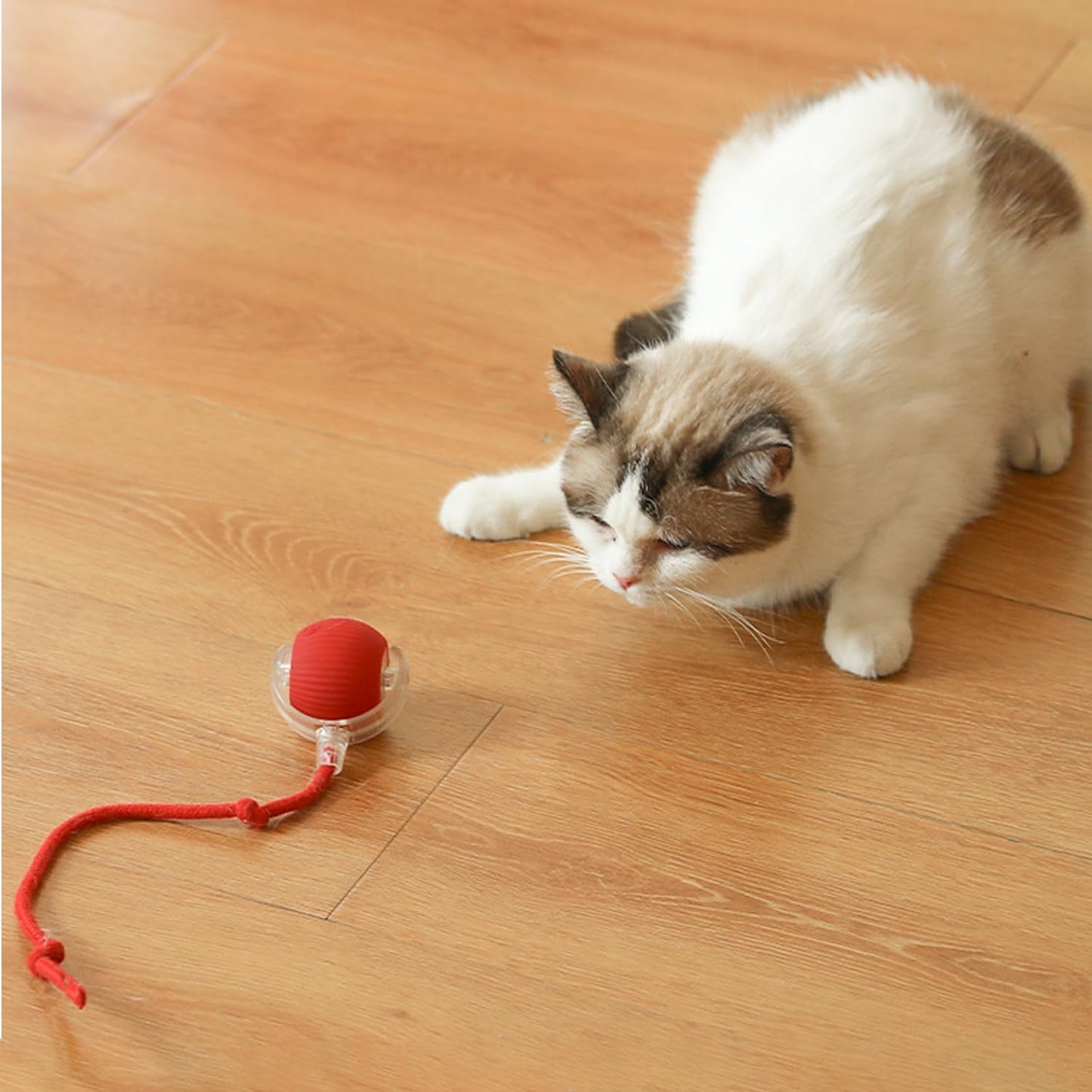 PatiliHarikalar PurrBall – Şarjlı Otomatik Hareketli Kedi Oyuncağı