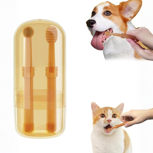 PatiliHarikalar Kedi/Köpek Silikon Diş Fırçası