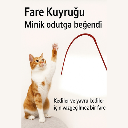 PatiliHarikalar Delirten Çubuk Pati Çeker Silikon Kedi Oltası