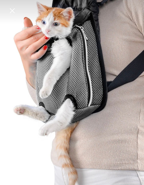 Ana Kucağı Patiliharikalar Kedi Taşıma Çantası