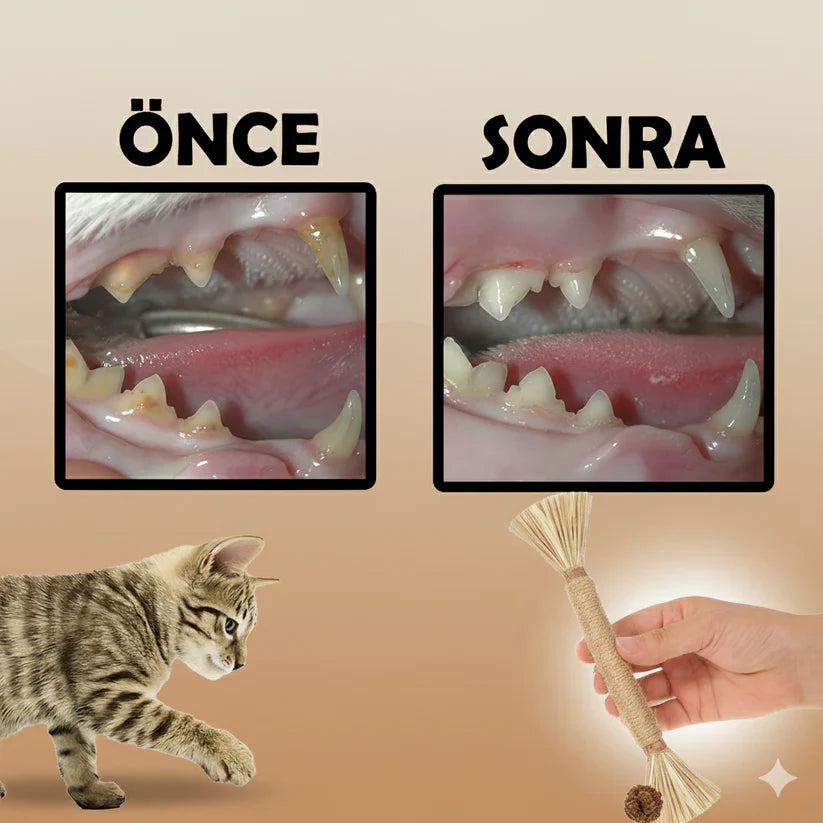 PatiliHarikalar Doğal Çiğneme Çubuğu