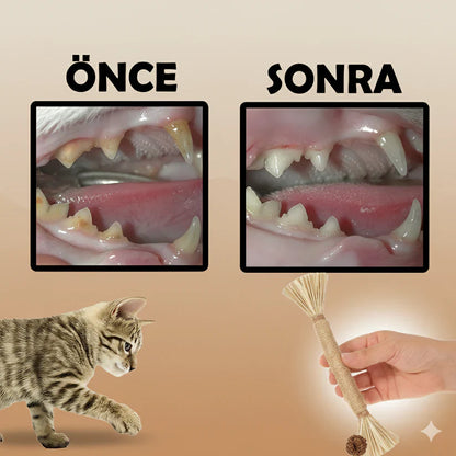 PatiliHarikalar Doğal Çiğneme Çubuğu