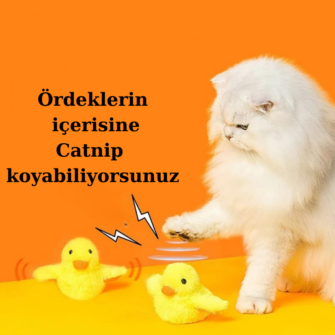 PatiliHarikalar Catnip’li İnteraktif Şarjlı Ördek Oyuncağı