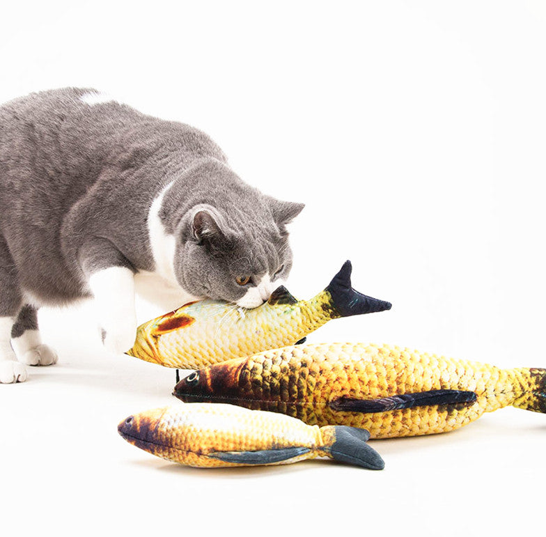 PatiliHarikalar Hareketli Balık Kedi Oyuncağı Şarjlı