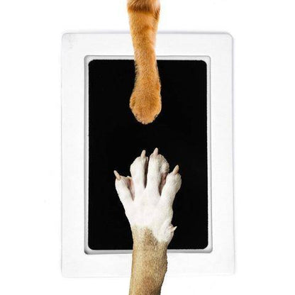 PatiliHarikalar Kedi Köpek Pati İzi Fotoğraf Çerçevesi Seti