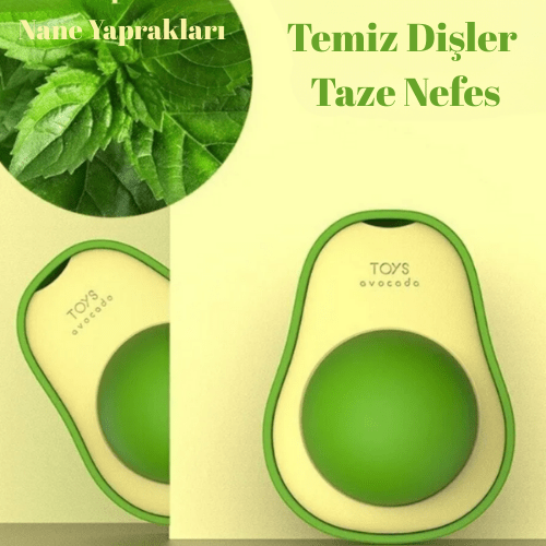 PatiliHarikalar Catnip Kedi Çimi Topu Oyuncağı
