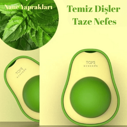 PatiliHarikalar Catnip Kedi Çimi Topu Oyuncağı